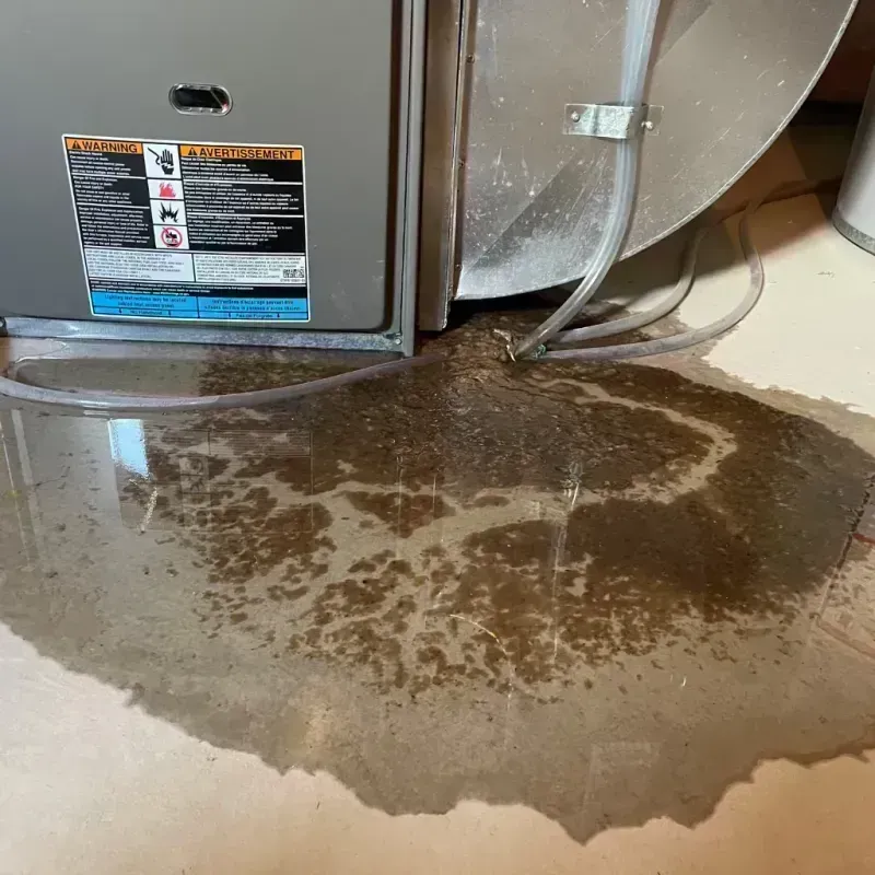 Appliance Leak Cleanup in Elmhurst, IL